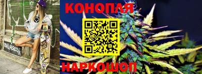 гидропоника Краснодар