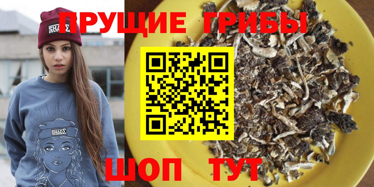 Галлюциногенные грибы GOLDEN TEACHER  цены наркотик  Кохма  Вход с VPN 